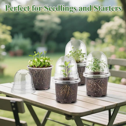 60 Pack Clear Nursery Pots - Image 7