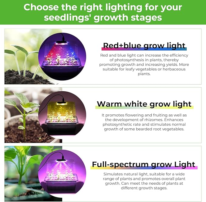Seed Starter Tray with Grow Light, Timing Controller & Adjustable Brightness & - Image 4