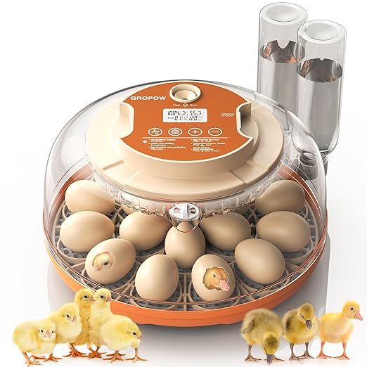 18 Egg Incubator, Automatic Turning by GROPOW