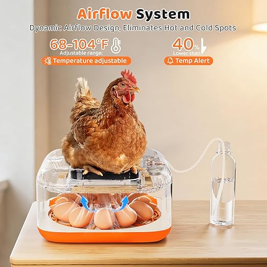 Incubators for Hatching Eggs 12 Egg Digital Egg Incubator Precision Auto Temp - Image 6