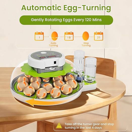 18-Egg Incubator incubators for Hatching Eggs - Image 5
