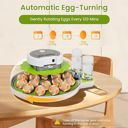 18-Egg Incubator incubators for Hatching Eggs - Image 5