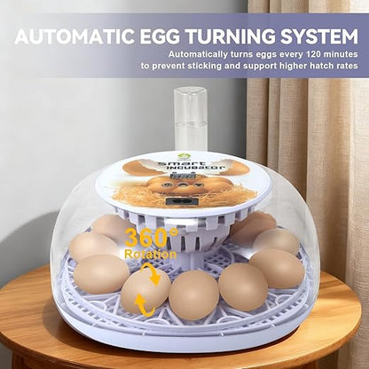 1st Gen - 12 Egg Automatic Incubator, Steady Humidity - Image 4