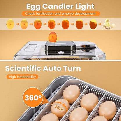 48 Incubators for Hatching Eggs, Egg Incubator - Image 5