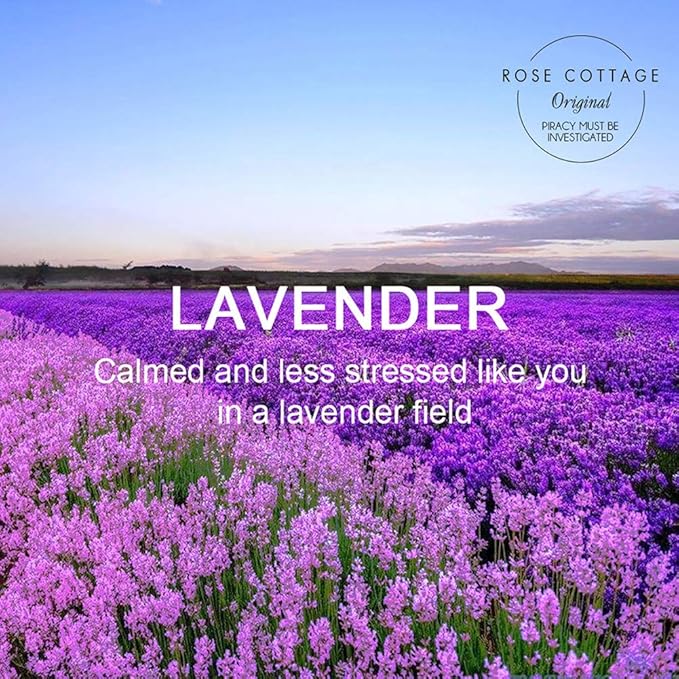 ROSE COTTAGE Large 12 Packs Lavender Hanging Closet Deodorizer Air Freshener - Image 7