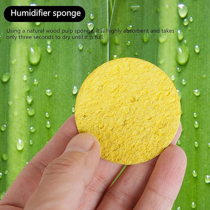 3 in 1 Guitar Sound Hole Cover Humidifier Acoustic Guitar Humidification System - Image 8