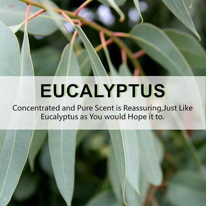 ROSE COTTAGE Large 12 Packs Eucalyptus Hanging Closet Deodorizer Air Freshener - Image 7