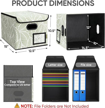 BALEINE File Organizer Box - Image 2