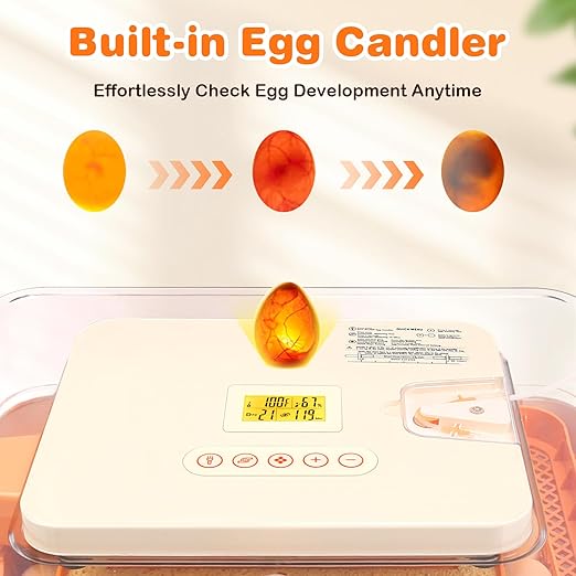 56 Egg Incubator for Hatching Eggs, Egg Incubators - Image 5
