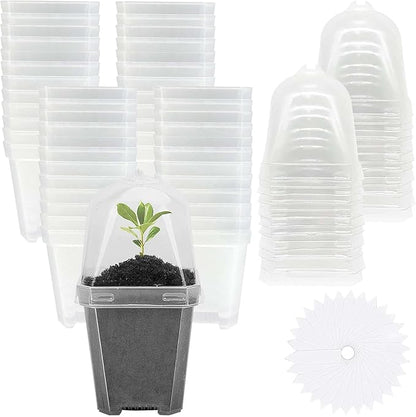EBaokuup 50 Pcs Clear Plant Nursery Pots by EBaokuup