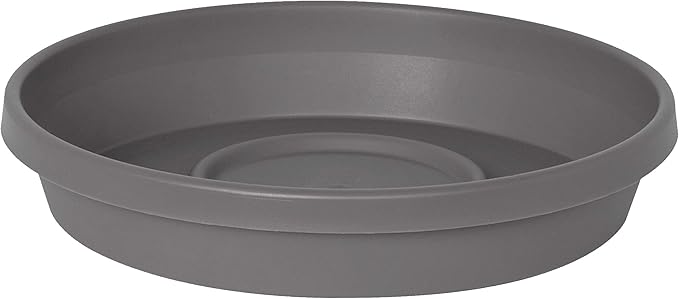 Bloem Terra Resin Saucer Tray: 4.75" Bottom Width by Bloem