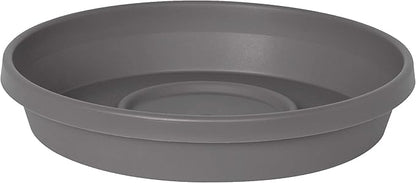 Bloem Terra Resin Saucer Tray: 4.75" Bottom Width by Bloem