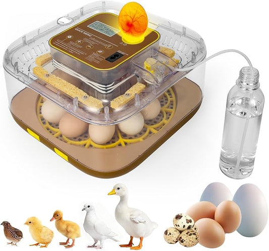 2026 New Auto 12-Egg Incubator for Beginners, Automated Incubation, by ZEMIROCHARGE