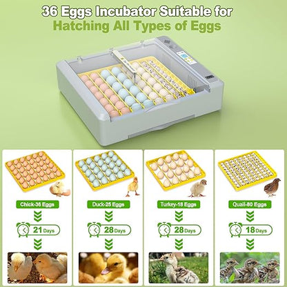 36 Eggs Incubator for Hatching Chicken/Goose/Quail/Duck/Turkey Eggs, 360° View - Image 2
