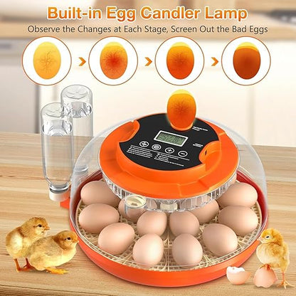 18 Egg Incubator with Automatic Egg Turning and Humidity Control, Eggs - Image 5
