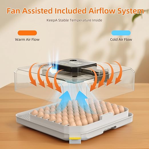 Incubators for Hatching Eggs, 48 Egg Incubator - Image 6