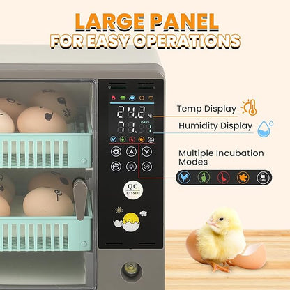 Incubators for Hatching Eggs, 24 Egg Incubator, Automatic Turning - Image 2