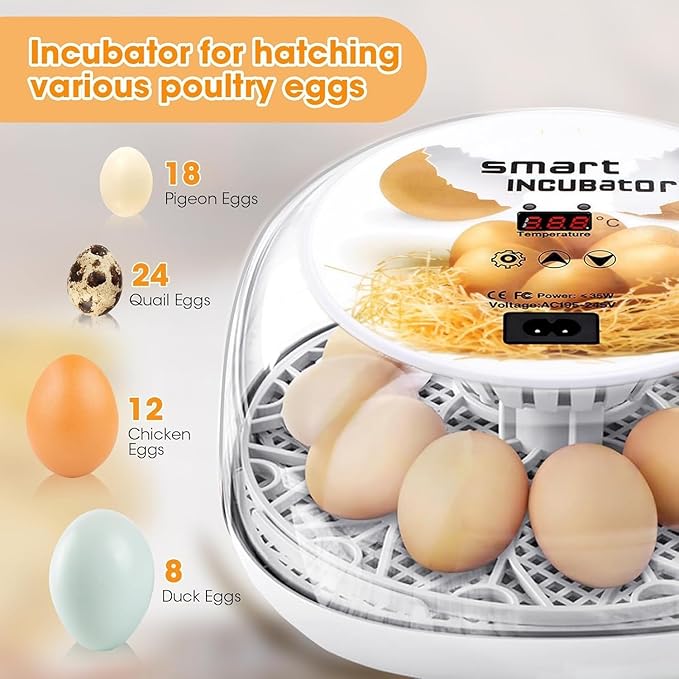 Incubators for Hatching Eggs, Chicken Waterer Cups, Automatic Egg Turner Holds - Image 3
