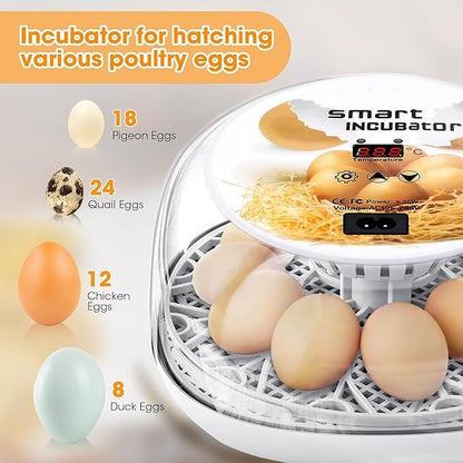 Incubators for Hatching Eggs, Chicken Waterer Cups, Automatic Egg Turner Holds - Image 3
