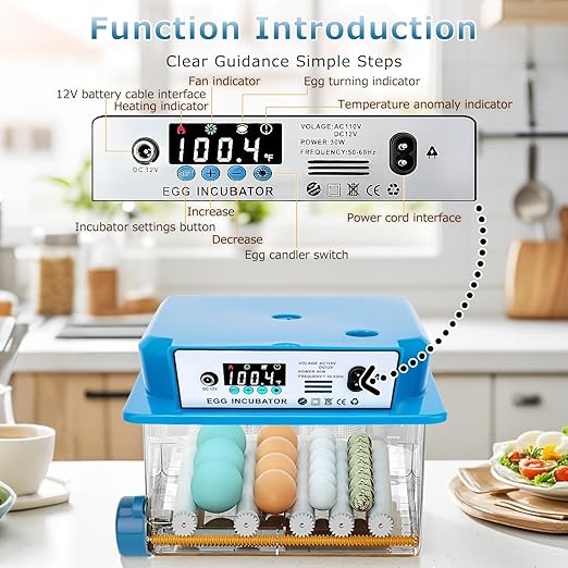 Automatic Egg Incubator 16 Egg Incubators - Image 3