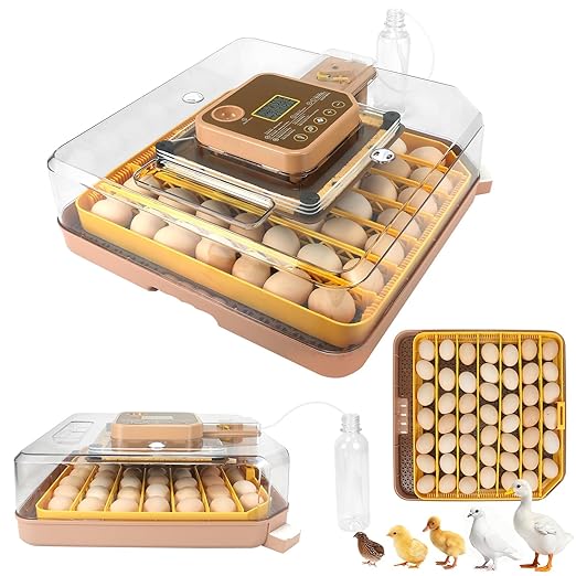 4th Gen - 48 Egg Fully Automatic Incubator, 2026 Upgraded Design, Intelligent by Unknown