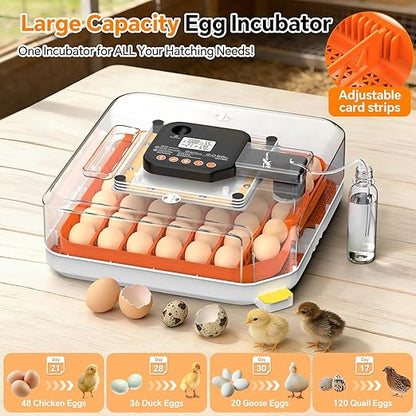 48 Egg Incubator for Hatching Eggs, Chicken Incubator - Image 6