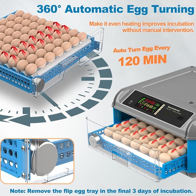 Egg Incubator for Hatching Eggs - Image 4