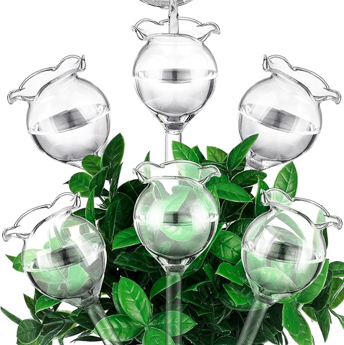 Yungyan 6 Pcs Self Watering Plant Globes Glass Cactus Insert Watering Devices by Yungyan