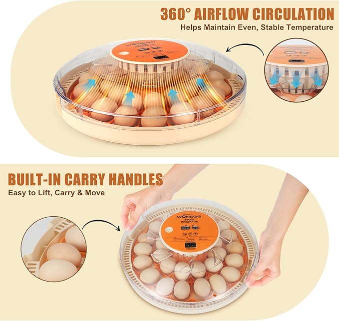 Smart Lite 30-Egg Incubator for Experienced Hands-On Hatchers, Auto Egg Turn - Image 4