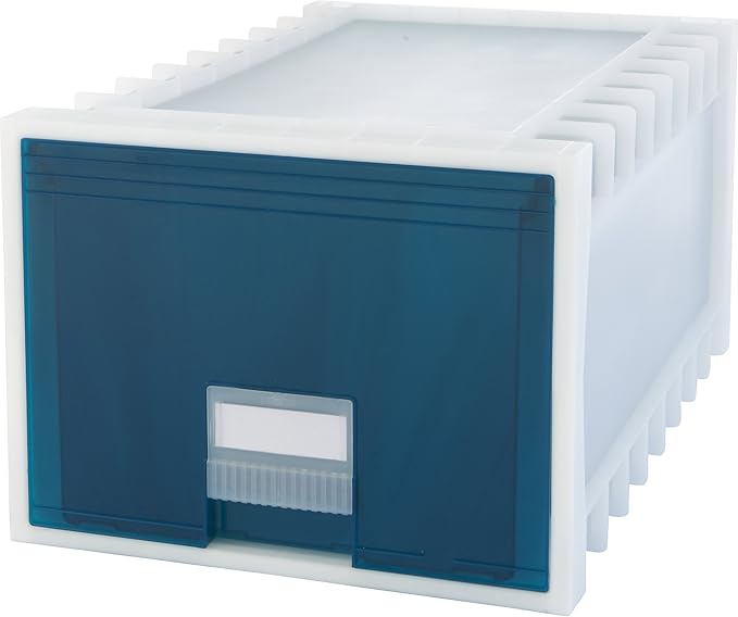 Storex 24-Inch Archive Storage Box by Storex