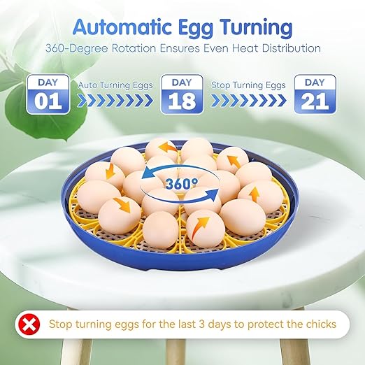 Egg incubators for Hatching Eggs, Automatic Egg Turning 12-24 Poultry Incubator - Image 3