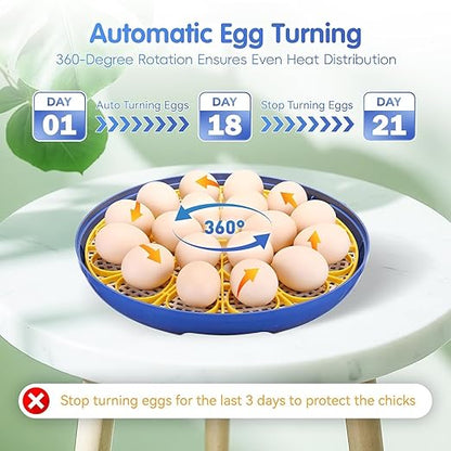 Egg incubators for Hatching Eggs, Automatic Egg Turning 12-24 Poultry Incubator - Image 3