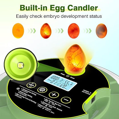 18 Egg Incubators for Hatching Eggs, Egg Incubator - Image 2