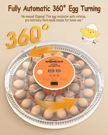 30 Egg Incubators for Hatching Eggs - Image 2