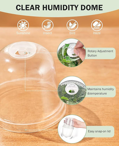 homenote Clear Nursery Pots for Plants, 3 Inch Plant Pot for Planting - Image 5