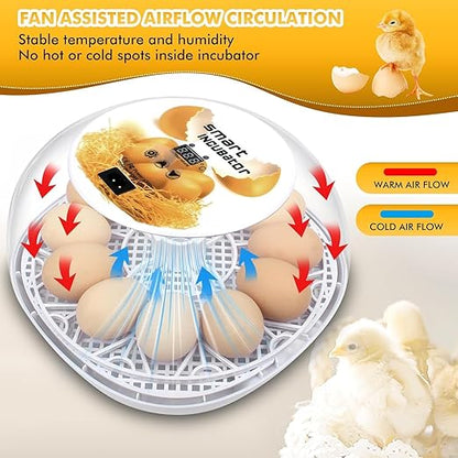 Egg incubators for Hatching Eggs, Automatic Egg Turning 12-24 Poultry Incubator - Image 3