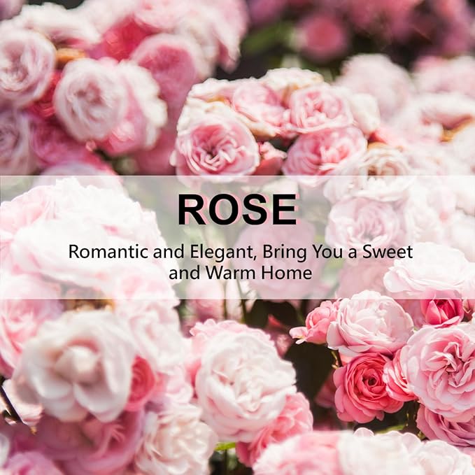 ROSE COTTAGE Large 12 Packs Rose Hanging Closet Deodorizer Air Freshener Long - Image 7