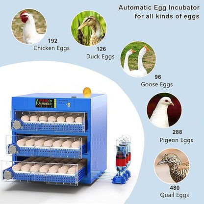 Automatic Eggs Incubator, Large Incubators - Image 2