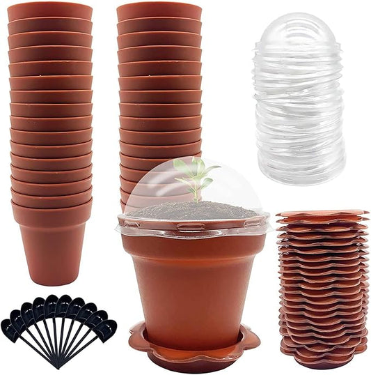 30 Pack Cupcake Plant Nursery Pots by PurpleStar
