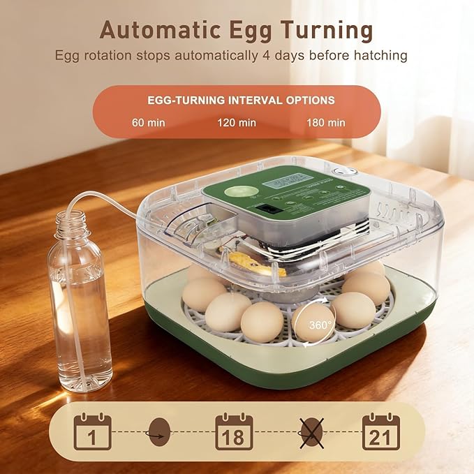 2026 New Auto 12-Egg Incubator for Beginners, Automated Incubation, - Image 6