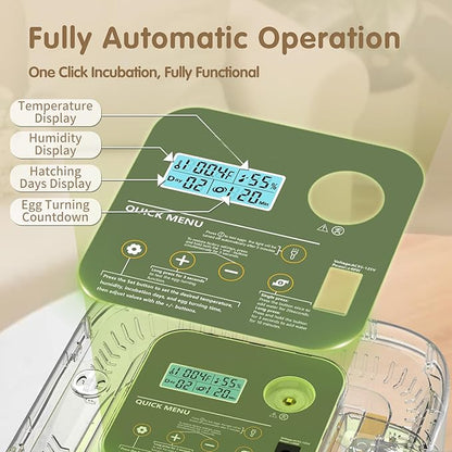 12 Egg Incubator with Automatic Turning, Temperature and Humidity Control - Image 3