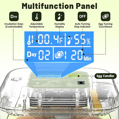12 Egg Incubator with Automatic Egg Turning and Humidity Control, LED Egg - Image 2