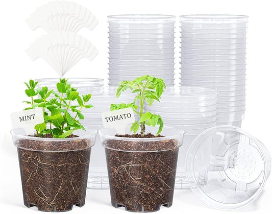 homenote Clear Nursery Pots for Plants, 4 Inch Plant Pot for Planting Plastic by HOMENOTE
