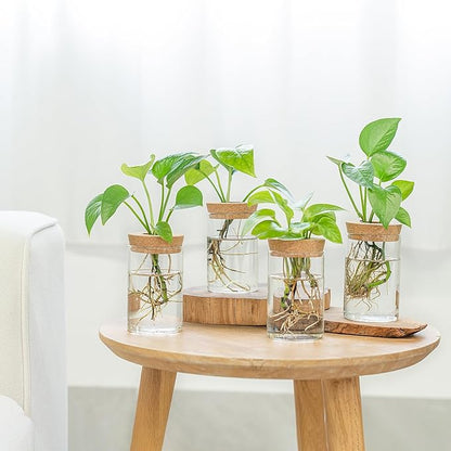 Dahey Plant Propagation Terrarium Desktop Glass Planter Station Water Planting - Image 5