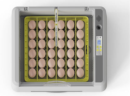 Egg Incubator for Hatching Chicks, 36 Eggs Automatic Turner - Image 8