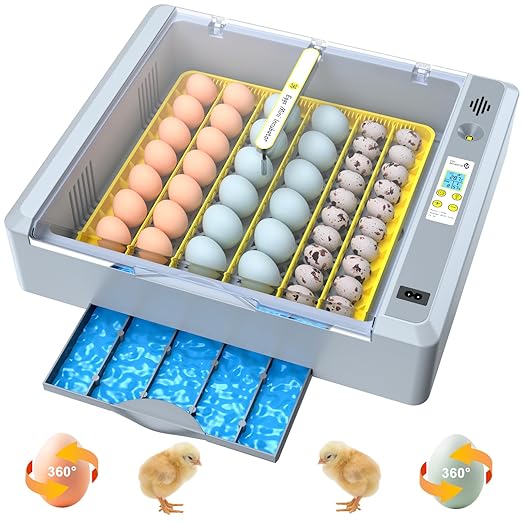 36 Eggs Incubator for Hatching Chicken/Goose/Quail/Duck/Turkey Eggs, 360° View by Unknown