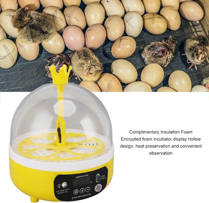 7W Egg Incubator, 4 Egg Poultry Incubator - Image 3