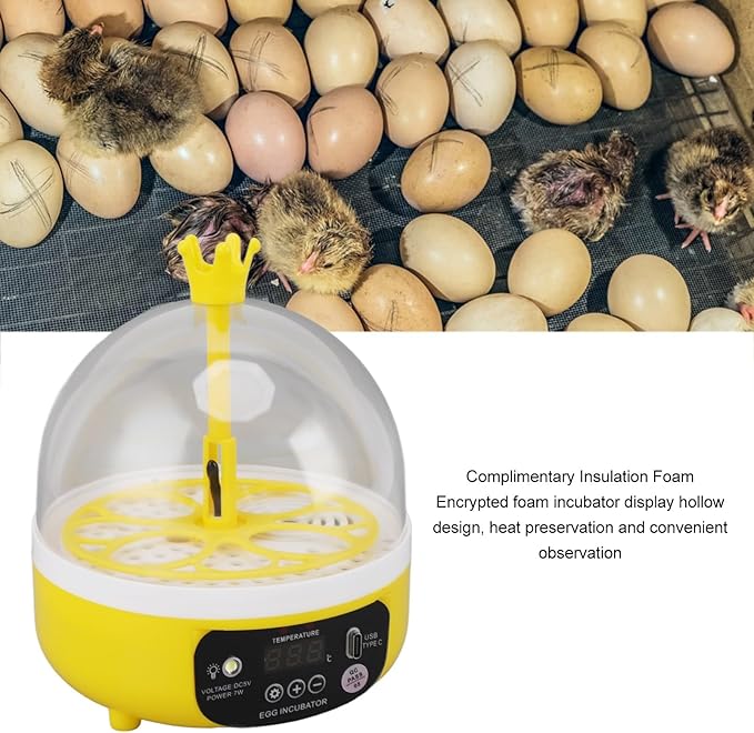 Hapivida 4 Eggs Mini Automatic Incubator, 7W Temperature Humidity Control - Image 2