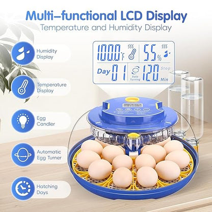 Egg incubators for Hatching Eggs, Automatic Egg Turning 12-24 Poultry Incubator - Image 2