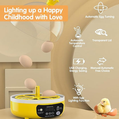 4 Eggs Mini Incubator with Transparent Lid, 7W Automatic Temperature Humidity - Image 3
